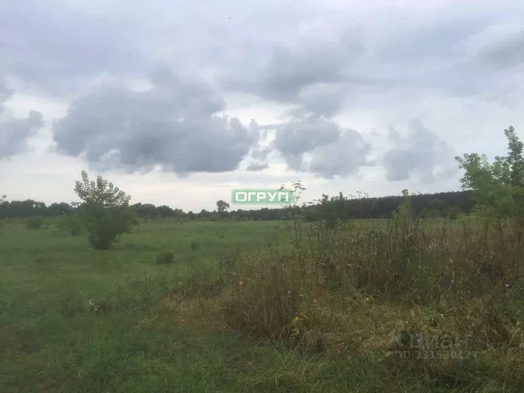 Участок в Пензенская область, Бессоновский район, д. Васильевка ул. ... - Фото 1