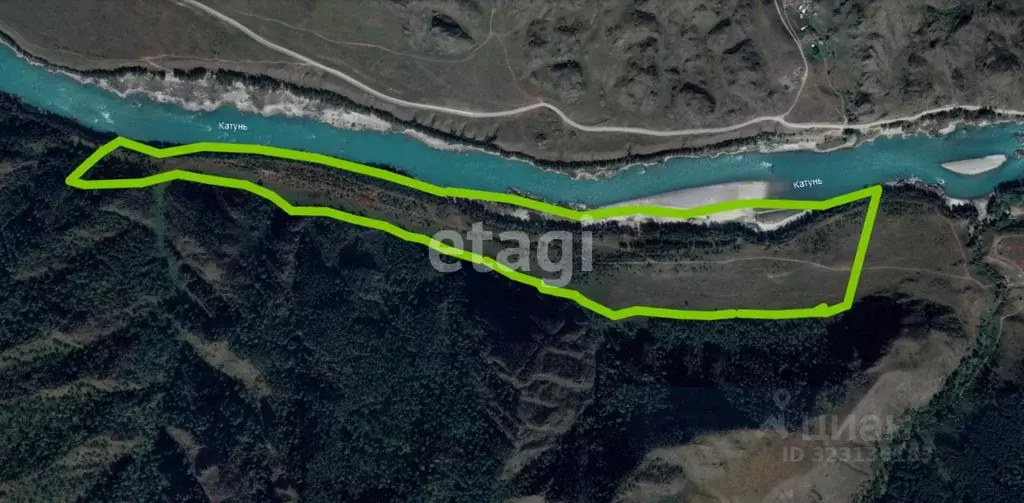 Участок в Алтай, Чемальский район, с. Еланда  (4000.0 сот.) - Фото 1