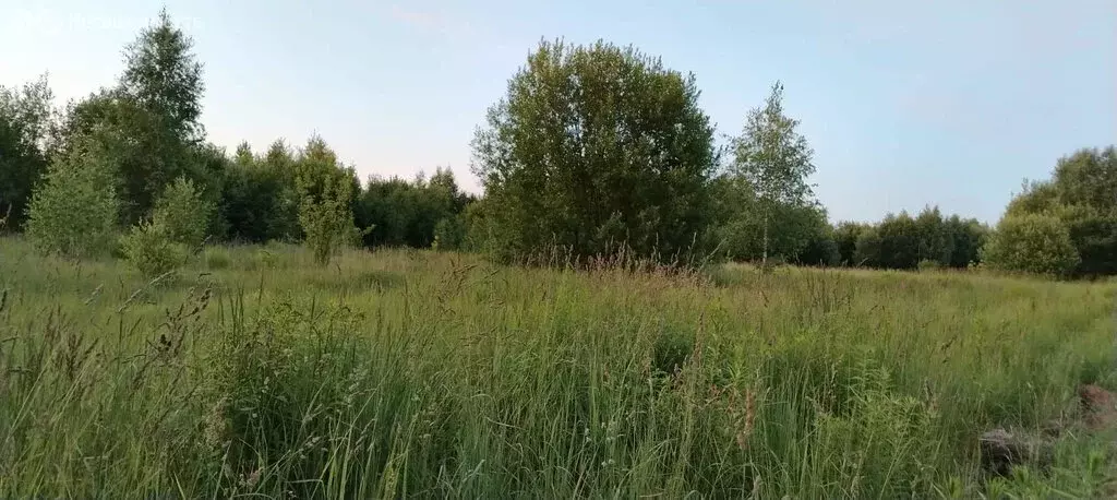Участок в Новоликеево, улица Ленина (7 м) - Фото 0
