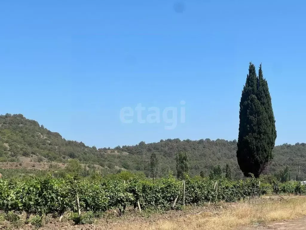 Участок в Крым, Алушта муниципальный округ, с. Нижняя Кутузовка  (5.0 ... - Фото 1