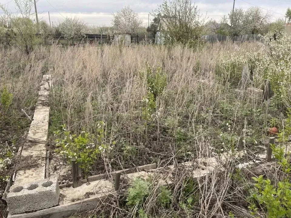 Участок в Оренбургская область, Оренбургский район, Ивановский ... - Фото 1