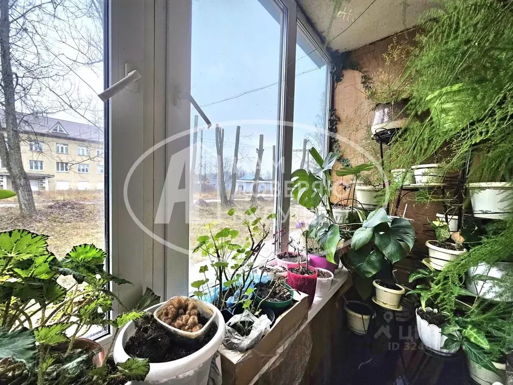 1-к кв. Удмуртия, Воткинский район, пос. Новый Построечная ул., 11 ... - Фото 2