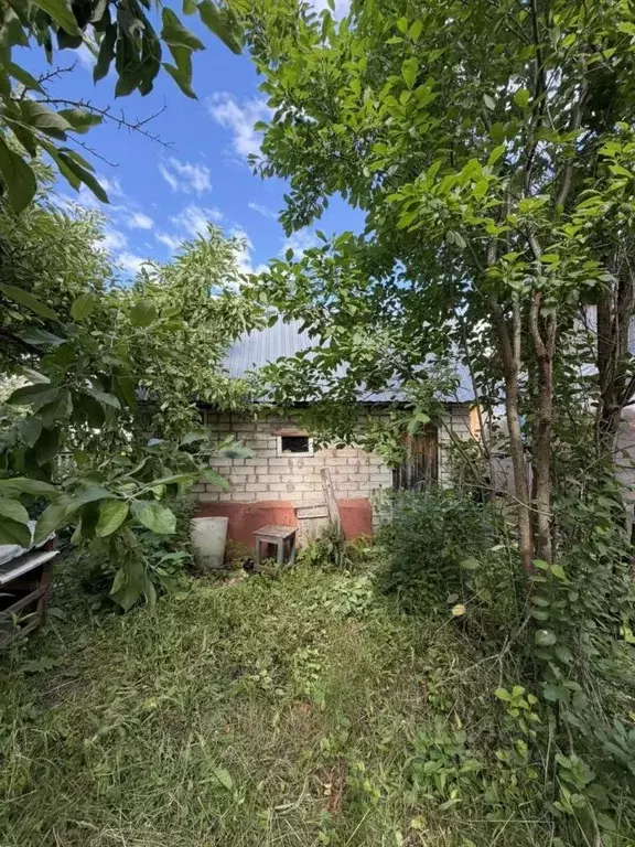 Дом в Татарстан, Зеленодольск 70 лет Октября СТ, 864 (35 м) - Фото 2