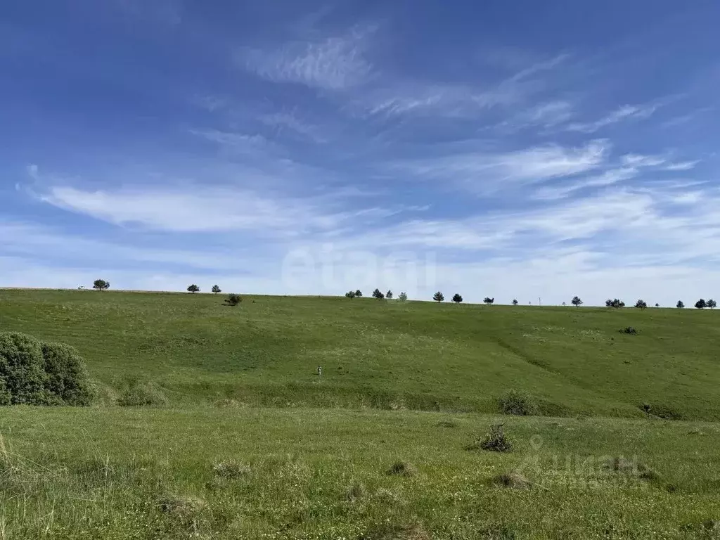 Участок в Татарстан, Лаишевский район, с. Татарский Янтык  (660.0 ... - Фото 1
