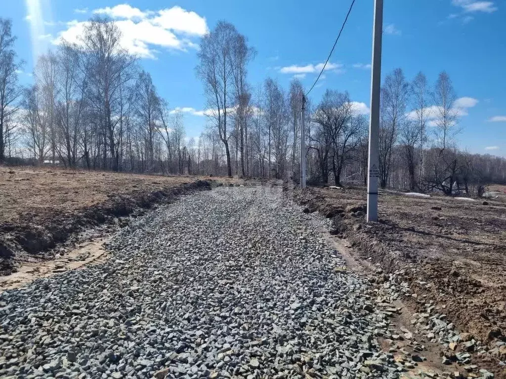 Участок в Новосибирская область, Новосибирский район, Раздольненский ... - Фото 1