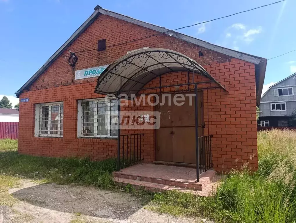 Торговая площадь в Московская область, Воскресенск городской округ, ... - Фото 1