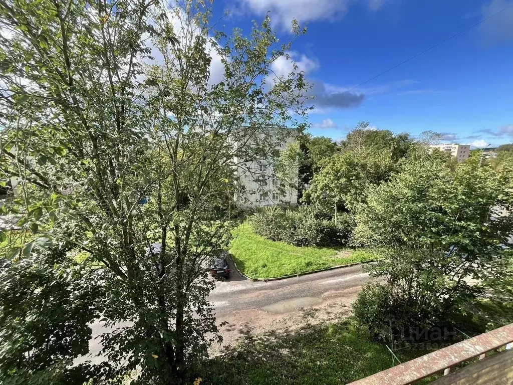 2-к кв. Ленинградская область, Светогорск Выборгский район, ... - Фото 1