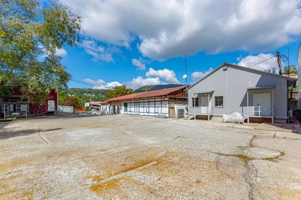 Помещение свободного назначения в Краснодарский край, Сочи Пластунская ... - Фото 1