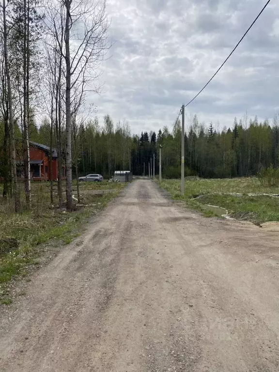 Участок в Ленинградская область, Всеволожский район, Колтушское ... - Фото 0