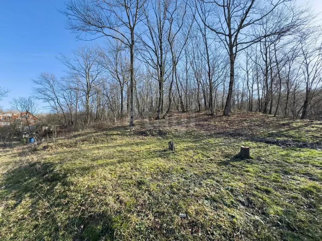 Участок в Краснодарский край, Геленджик городской округ, с. Адербиевка ... - Фото 2