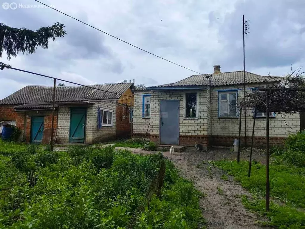 Дом в посёлок городского типа Томаровка, Зареченская улица (51.2 м) - Фото 1