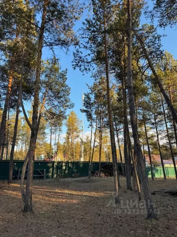 Дом в Саха (Якутия), Якутск ул. Три Сосны (36 м) - Фото 2