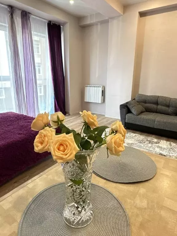 Студия Краснодарский край, Сочи Мамайка мкр, ул. Крымская, 89 (36.0 м) - Фото 1