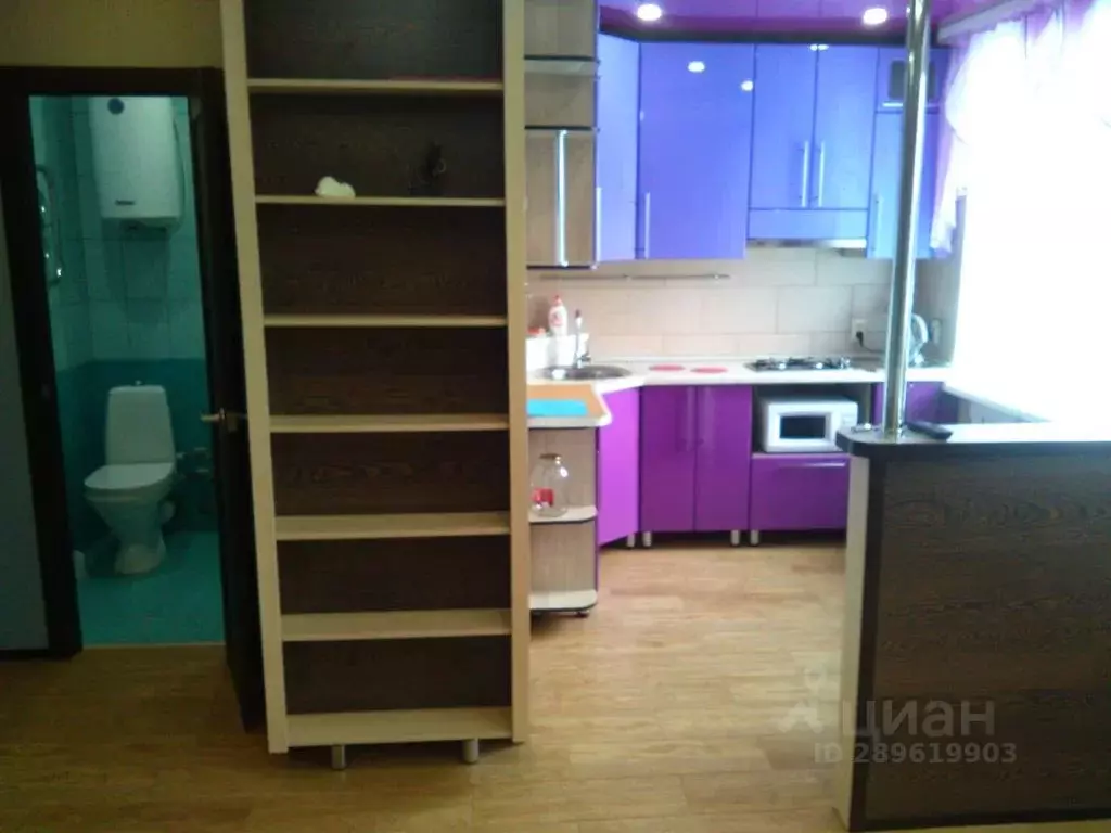 Студия Карелия, Сегежа ул. Спиридонова, 33 (29.0 м) - Фото 2