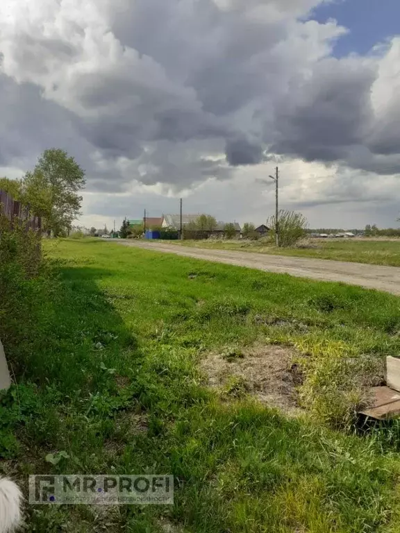 Дом в Омская область, Любинский район, д. Барсуковка Барсуковская ул., ... - Фото 0