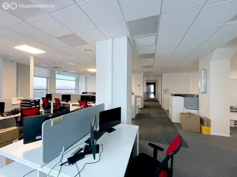 Офис (802.3 м) - Фото 2