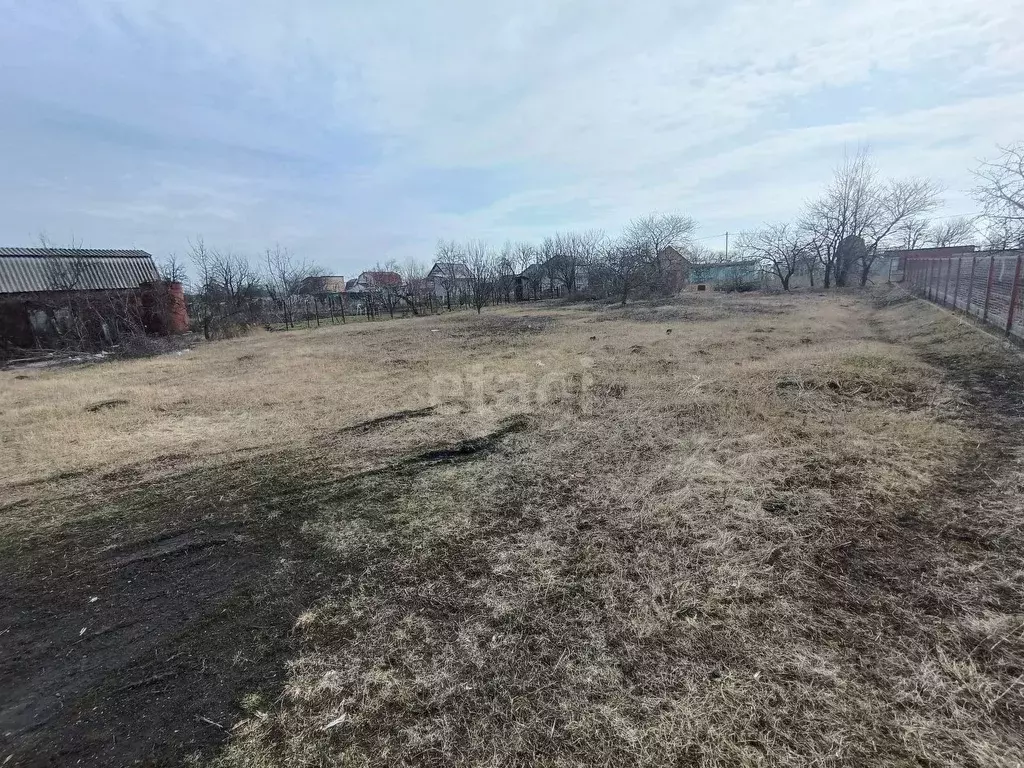 Участок в Белгородская область, Яковлевский муниципальный округ, Нива ... - Фото 1