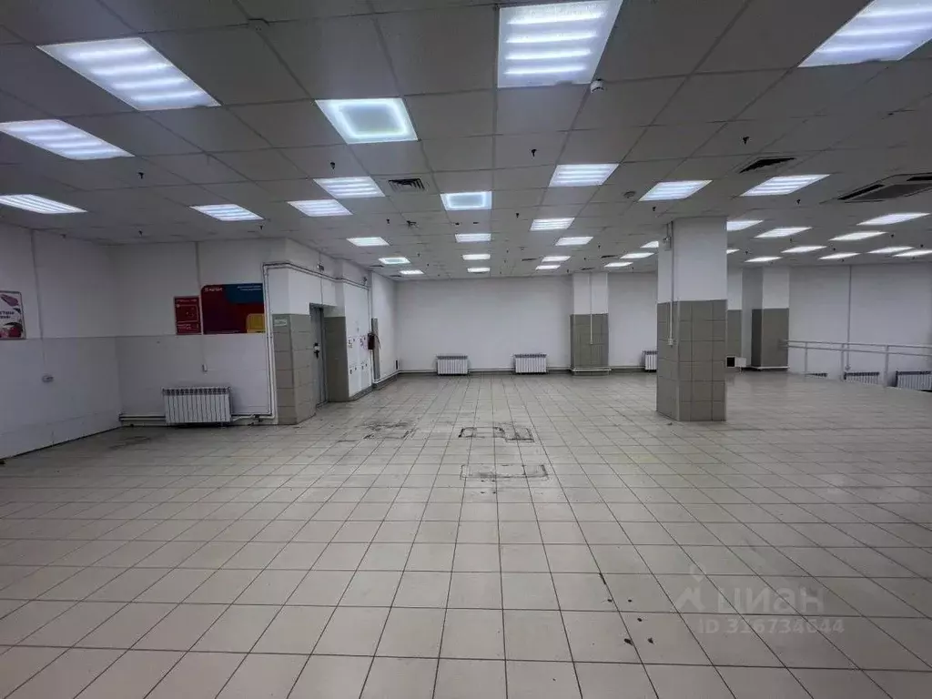 Помещение свободного назначения в Удмуртия, Ижевск Пушкинская ул., 165 ... - Фото 0