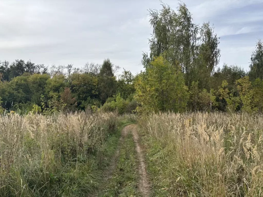 Участок в Московская область, Луховицы  (11.87 сот.) - Фото 1