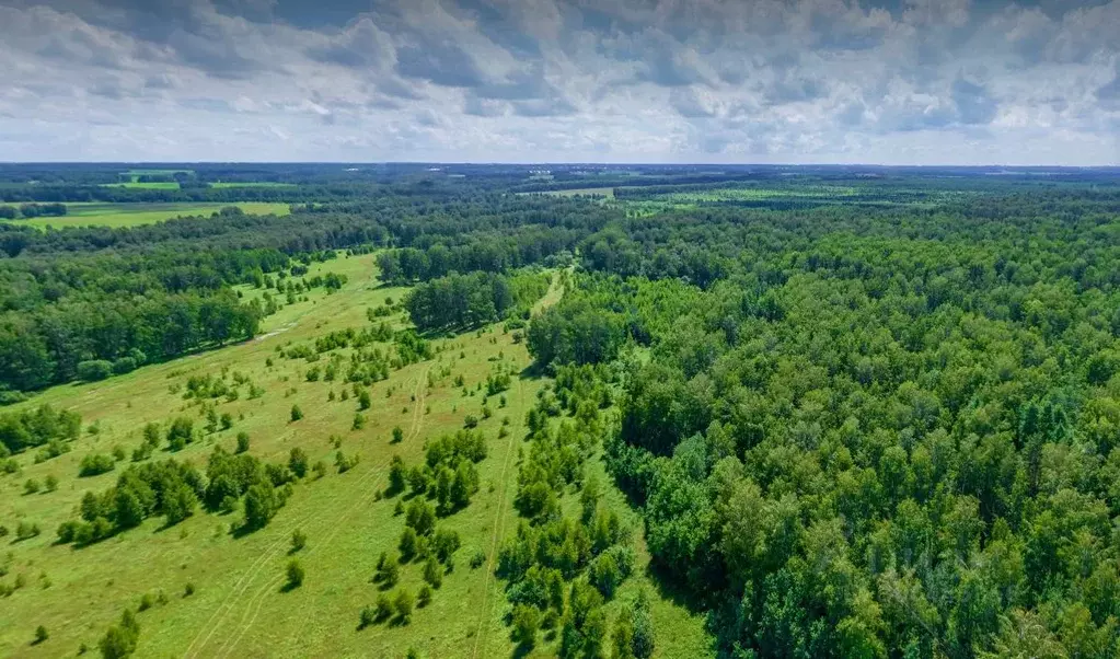 участок в новосибирская область, новосибирский район, кубовинский . - Фото 1