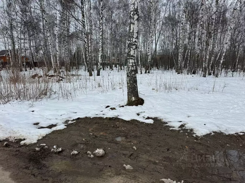 Участок в Московская область, Богородский городской округ, имени ... - Фото 1