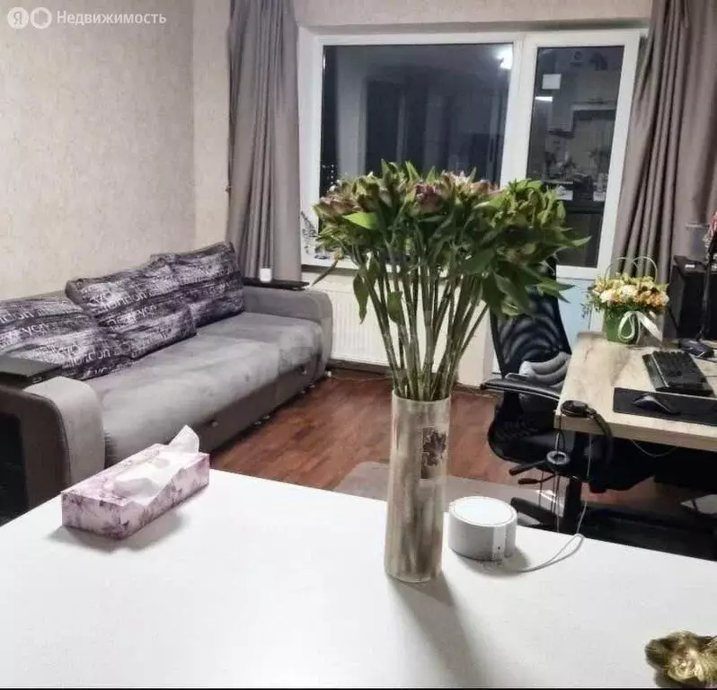 Квартира-студия: Мурино, проспект Авиаторов Балтики, 13 (26.6 м) - Фото 1