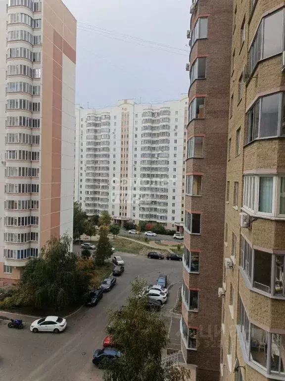 1-к кв. Курская область, Курск просп. Победы, 44 (49.9 м) - Фото 2