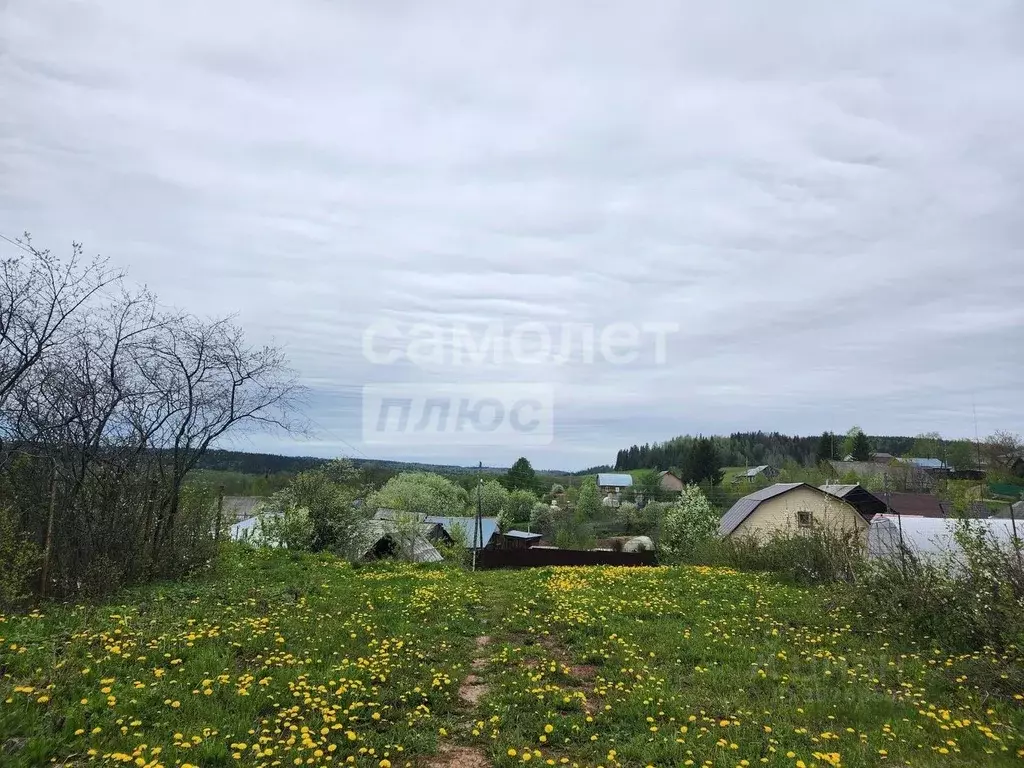 Участок в Пермский край, Краснокамский городской округ, с. Черная ул. ... - Фото 1