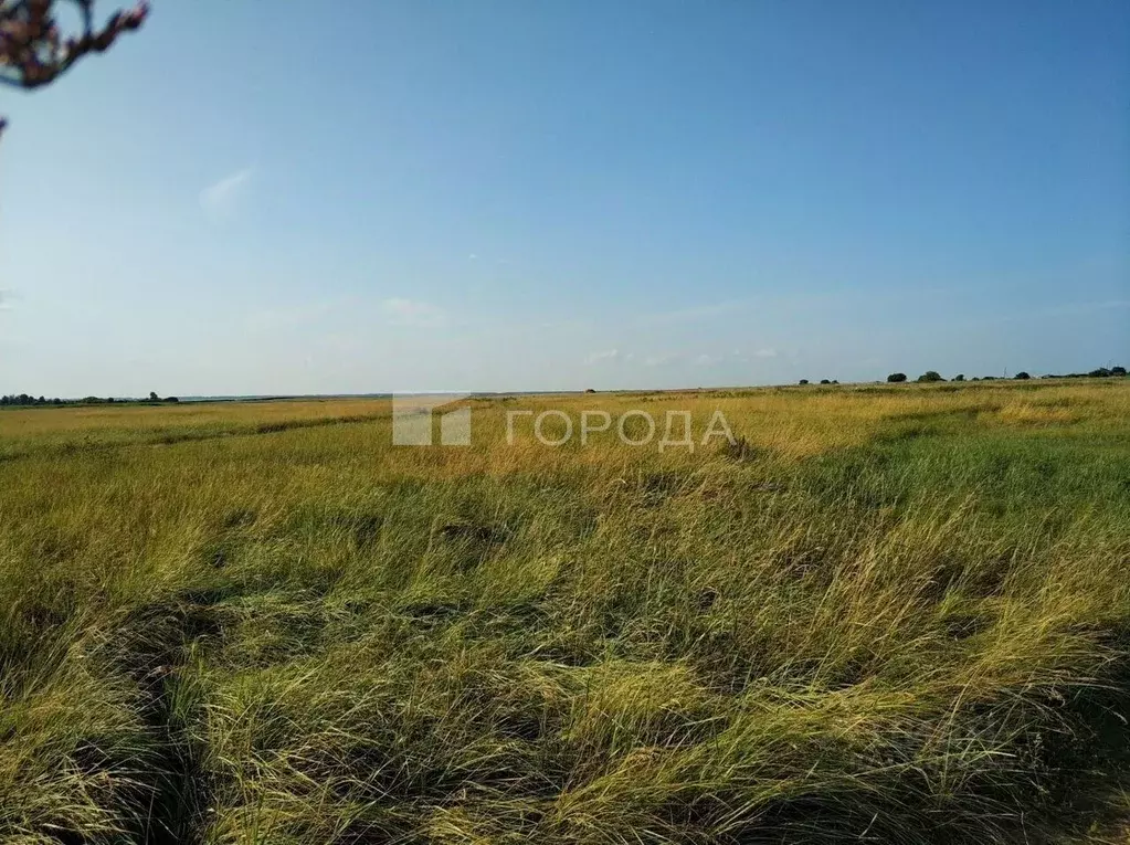 Участок в Алтайский край, Завьяловский район, с. Харитоново ул. ... - Фото 1