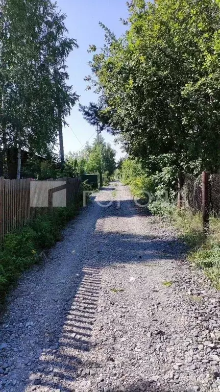 Участок в Новосибирская область, Новосибирск Сибирский авиатор СПК, ... - Фото 1