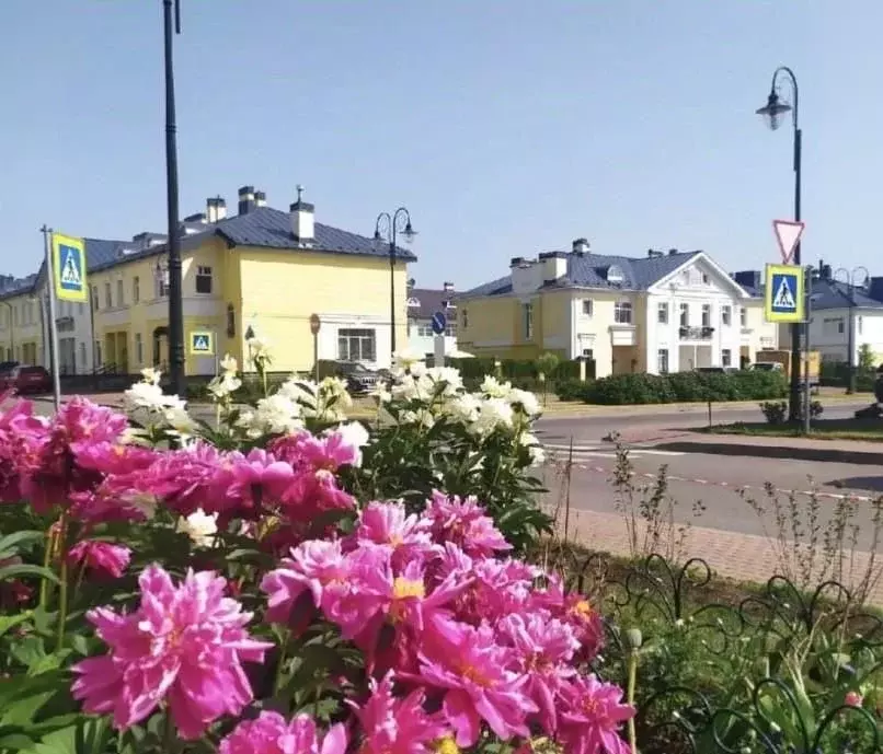 3-к кв. Санкт-Петербург, Санкт-Петербург, Пушкин ул. Анциферовская, ... - Фото 0