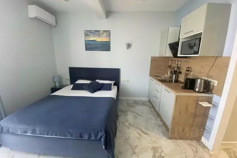 1-к кв. Краснодарский край, Сочи Светлана мкр, ул. Депутатская, 10Б/1 ... - Фото 2