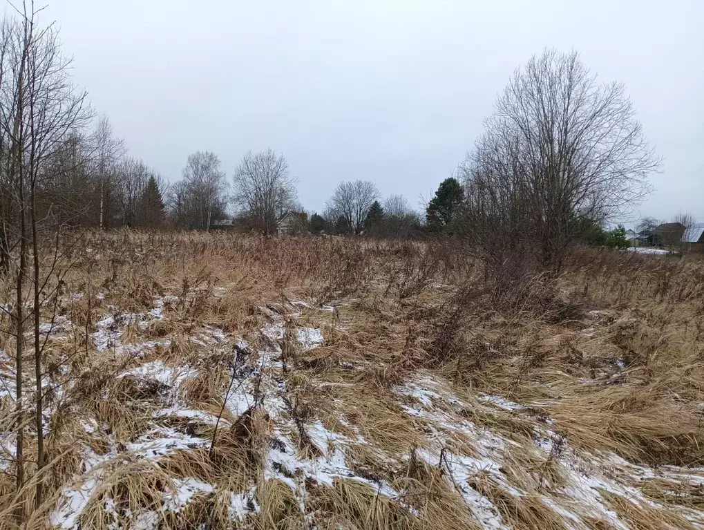 Участок в Московская область, Клин городской округ, д. Пупцево  (19.97 ... - Фото 1