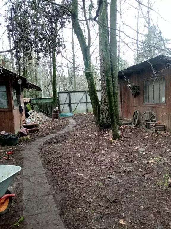 Участок, 15 сот., поселения (ижс) - Фото 1