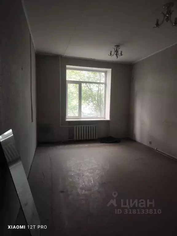 Помещение свободного назначения в Омская область, Омск ул. ... - Фото 1