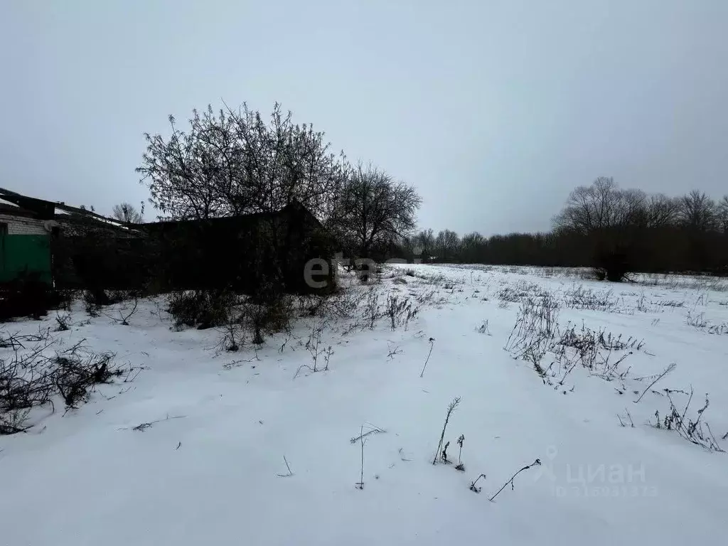 Участок в Белгородская область, Старооскольский городской округ, с. ... - Фото 0