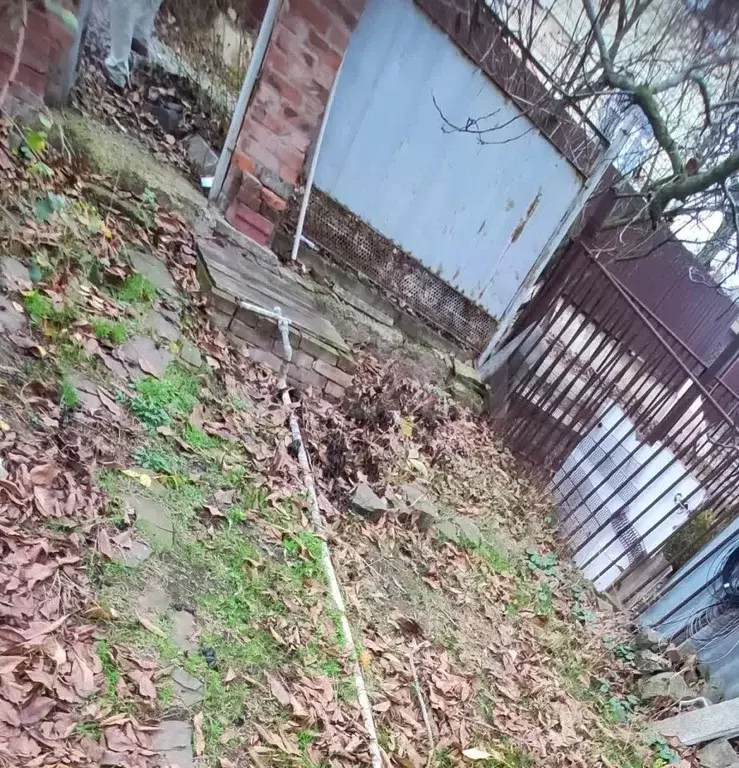 Участок в Ростовская область, Новочеркасск № 2 АО Магнит садовое ... - Фото 1