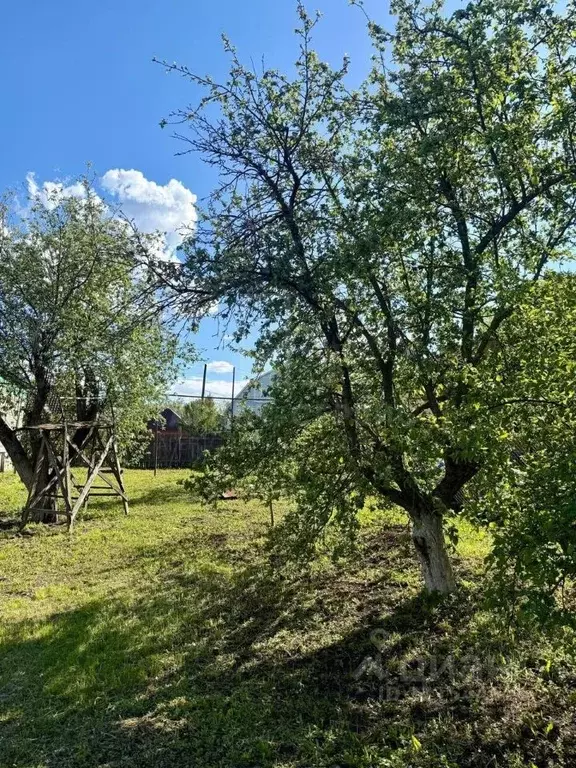 Участок в Тамбовская область, Тамбов ул. имени Академика Вавилова (3.0 ... - Фото 1