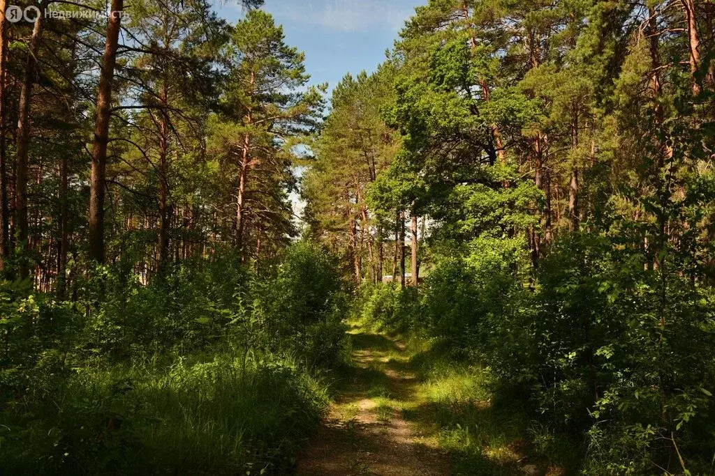 Дом в село Лесной Вьяс, улица Большая Дорога, 22 (69.7 м) - Фото 1