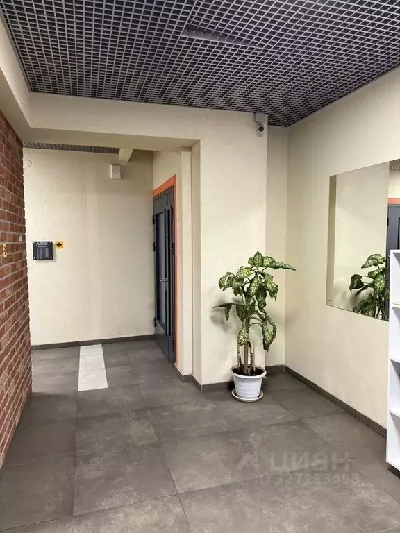 2-к кв. Санкт-Петербург пос. Парголово, ул. Шишкина, 299 (47.0 м) - Фото 2