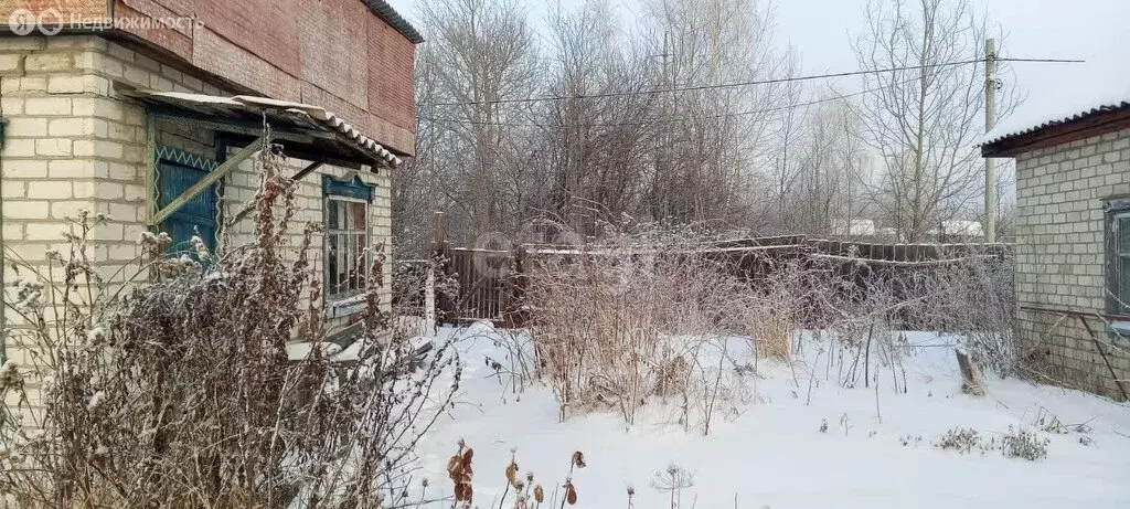 Участок в Тобольск, садоводческое товарищество Дружба (8.4 м) - Фото 1