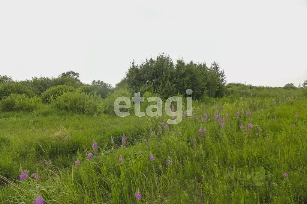 Участок в Тюменская область, Тюменский район, д. Есаулова ул. Светлая ... - Фото 1