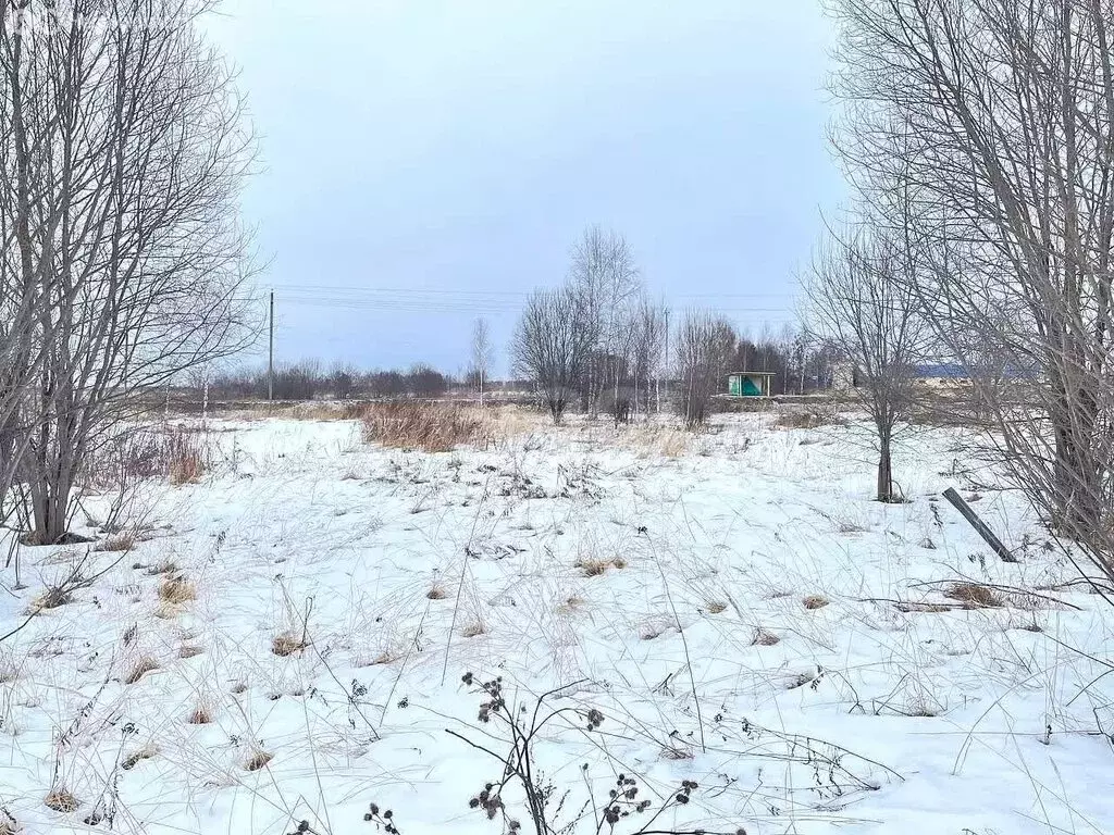 Участок в Ковровский район, муниципальное образование Малыгинское, ... - Фото 0