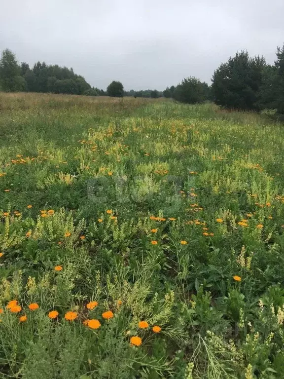 Участок в Ярославская область, Переславль-Залесский муниципальный ... - Фото 2