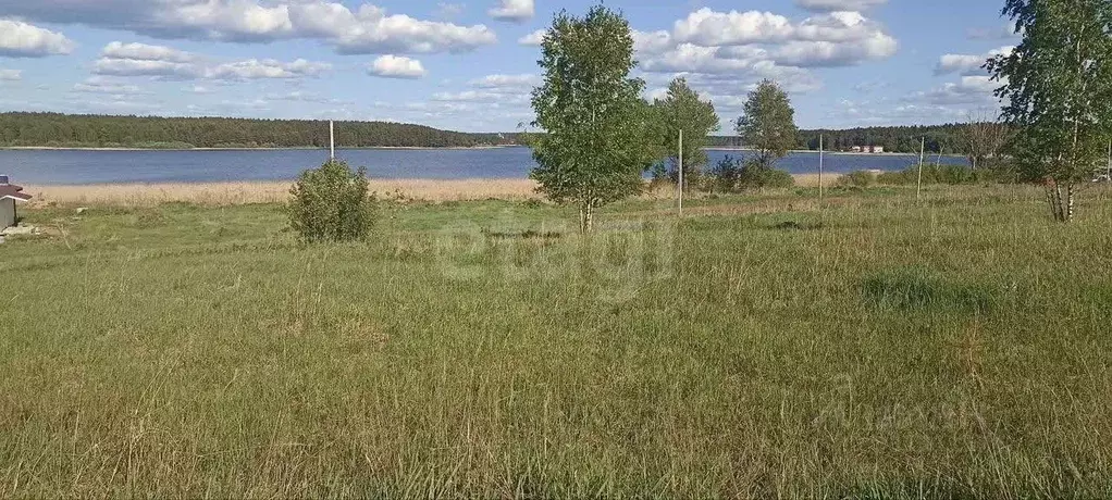 Участок в Тверская область, Осташковский муниципальный округ, пос. ... - Фото 2