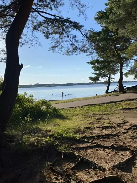 3-к кв. Санкт-Петербург, Санкт-Петербург, Сестрорецк 8-я линия, 2 ... - Фото 2