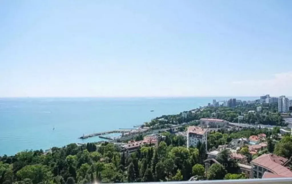 Студия Краснодарский край, Сочи Курортный просп., 92/5 (65.0 м) - Фото 2