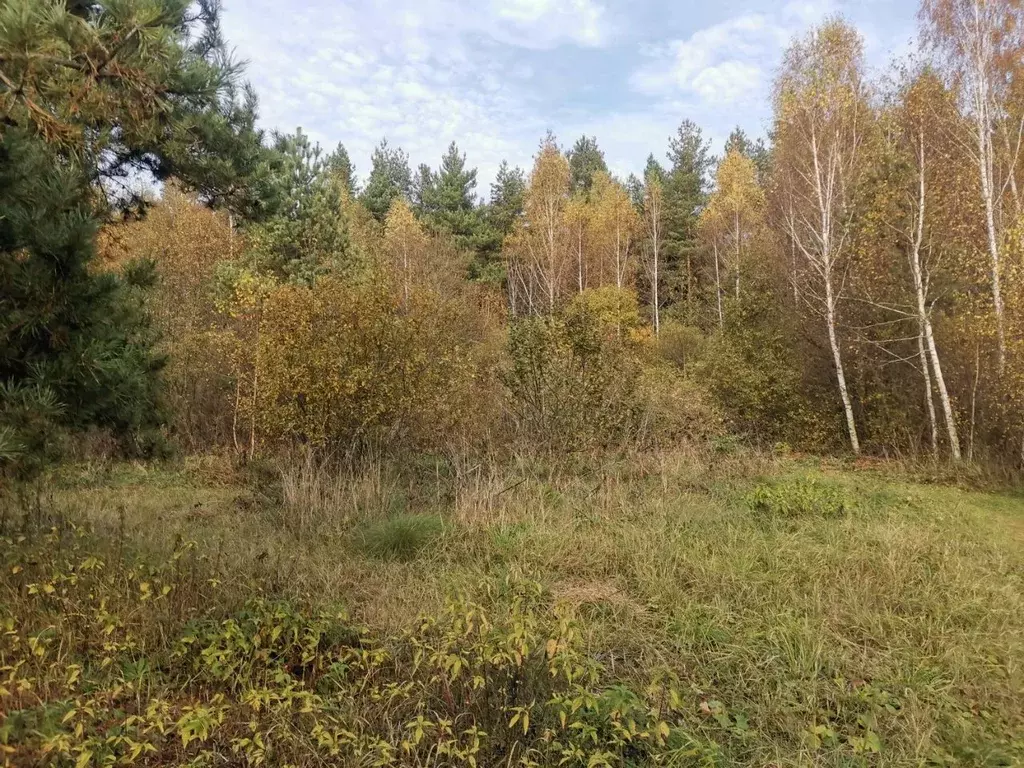 Участок в Московская область, Орехово-Зуевский городской округ, д. ... - Фото 1