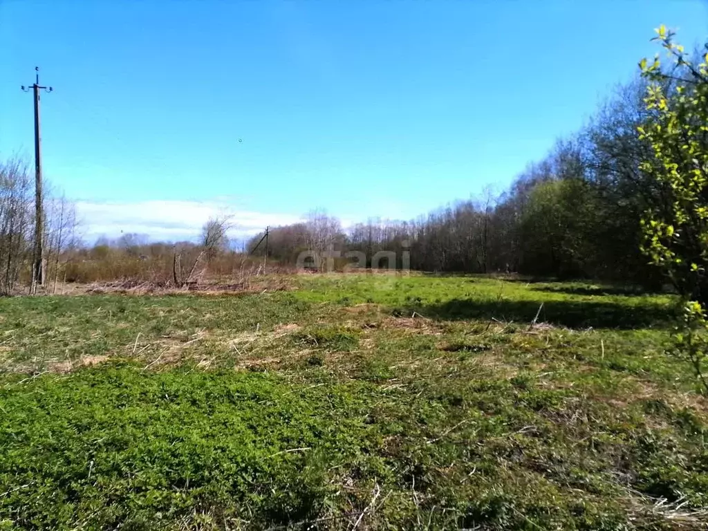 Участок в Ленинградская область, Волховский район, Староладожское ... - Фото 2