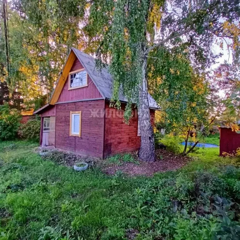 Дом в Новосибирская область, Новосибирский район, Толмачевский ... - Фото 0